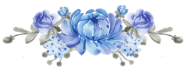 blue-flowers